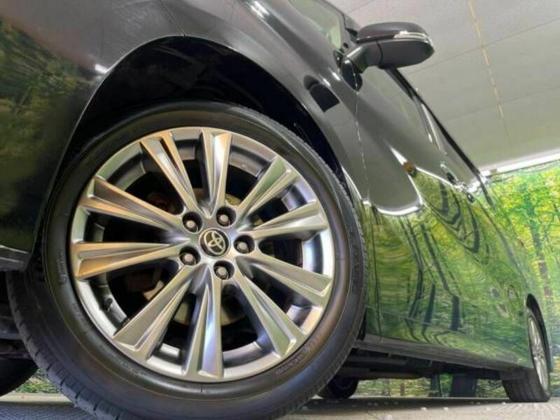 ALPHARD-12