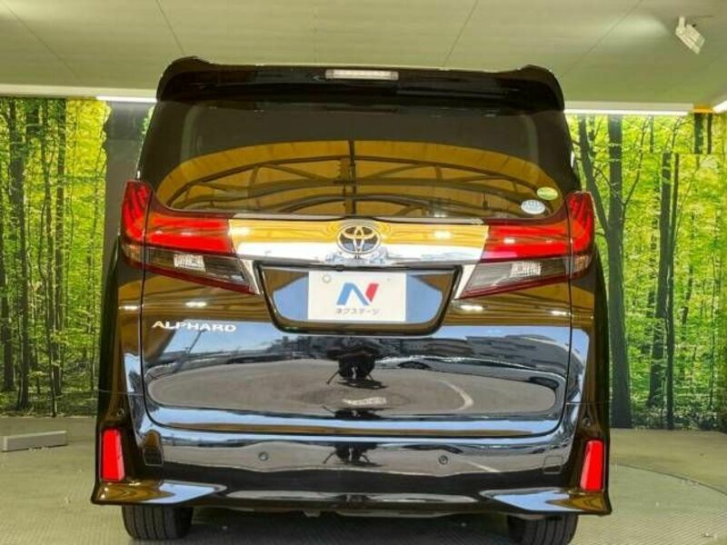 ALPHARD-14