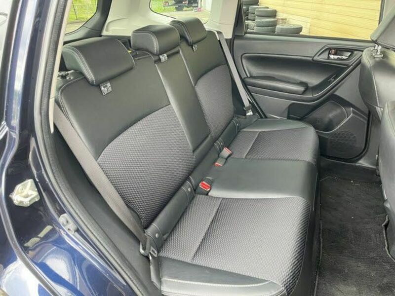 FORESTER-9