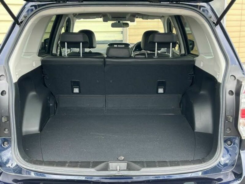 FORESTER-20