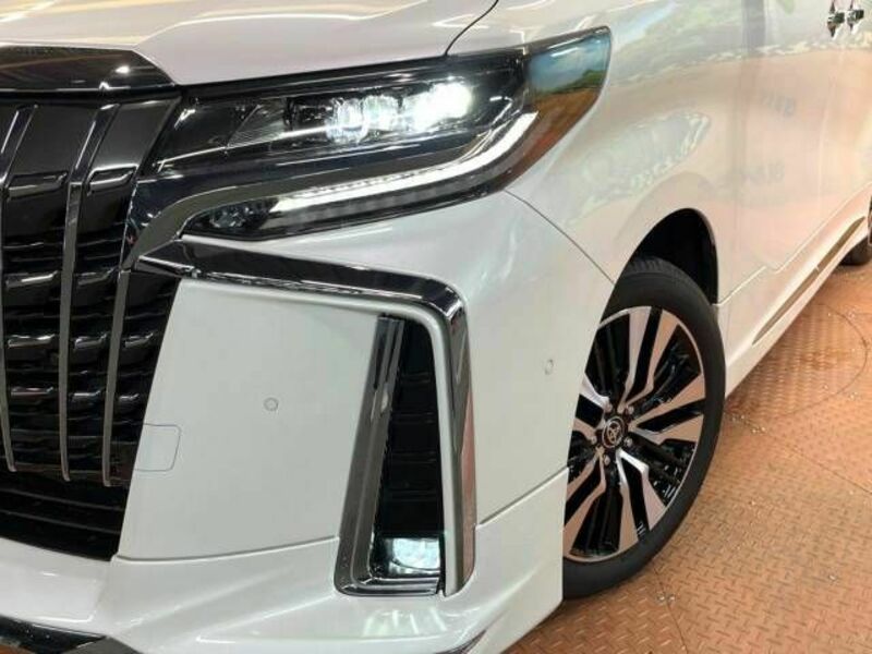 ALPHARD-15