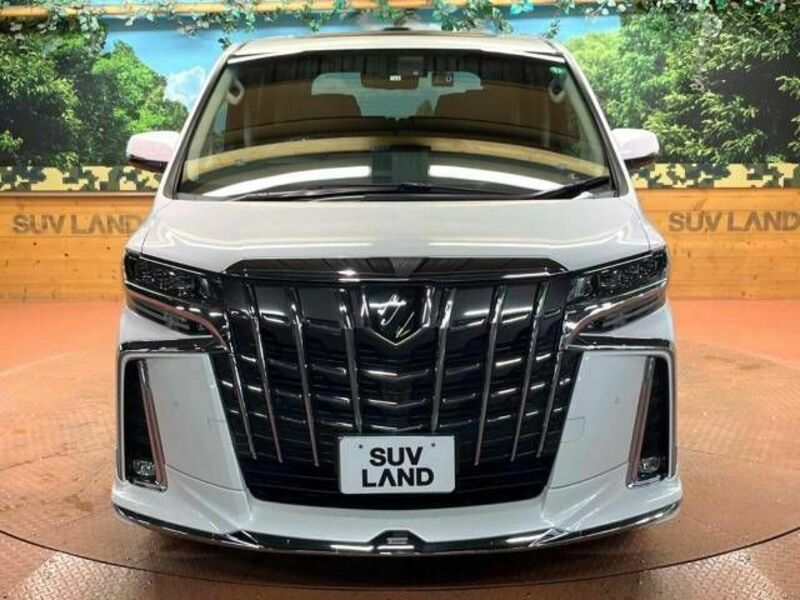 ALPHARD-17