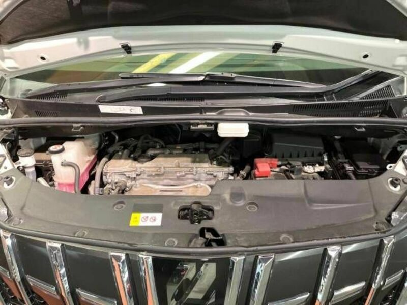 ALPHARD-19