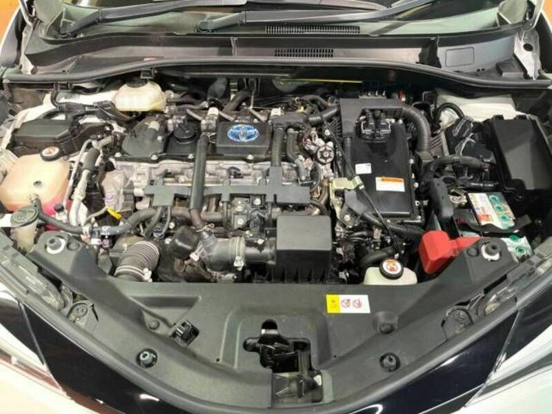 C-HR-18