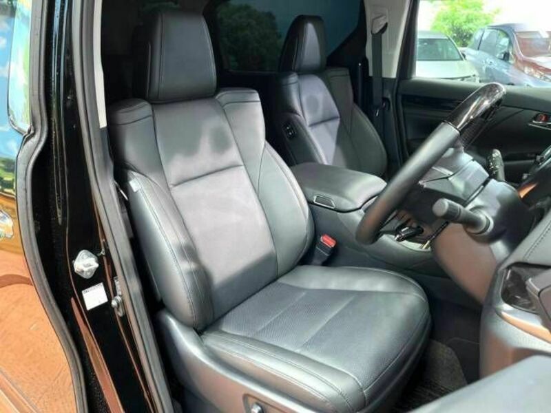ALPHARD-12