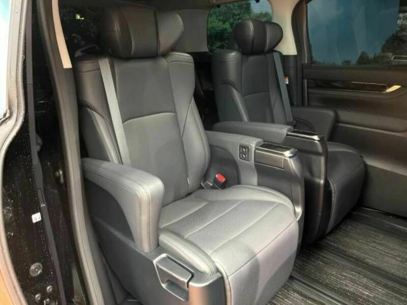 ALPHARD-13