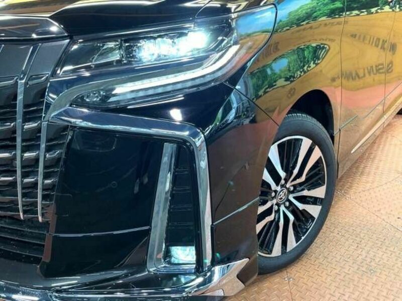 ALPHARD-16