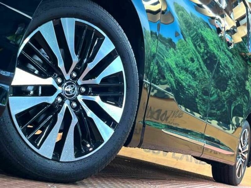 ALPHARD-17