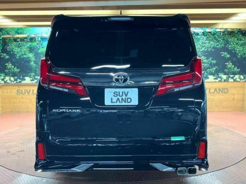 ALPHARD-19