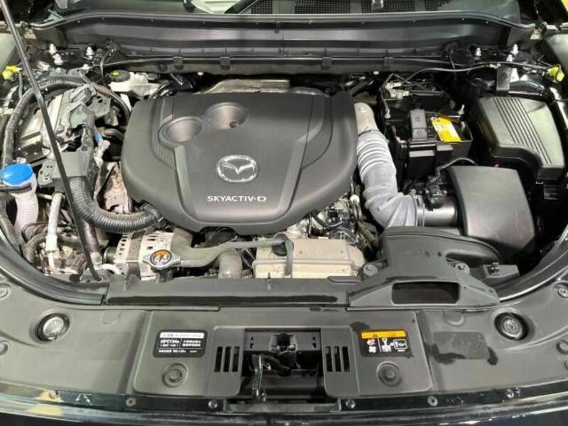 CX-8