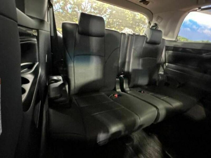 ALPHARD-10