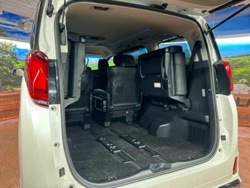 ALPHARD-11