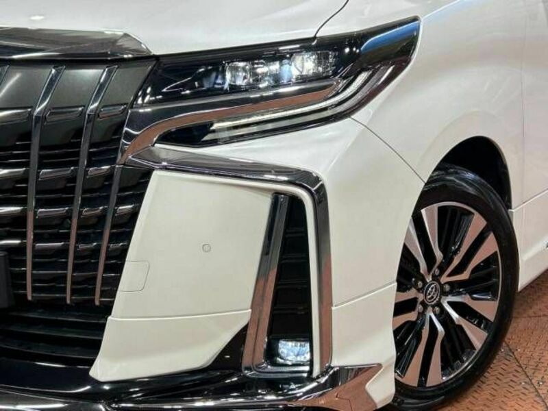 ALPHARD-13