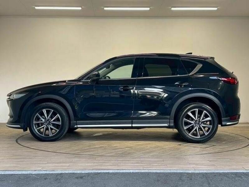 CX-5-13