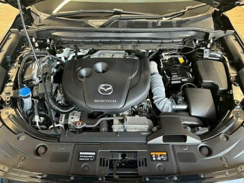 CX-5-19