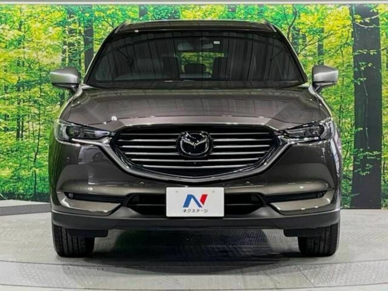 CX-8