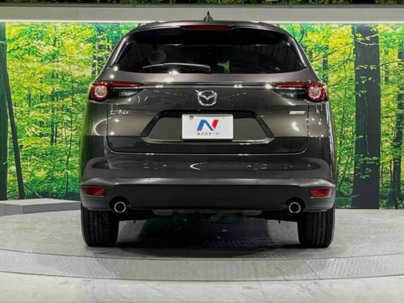 CX-8
