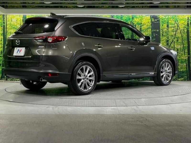 CX-8