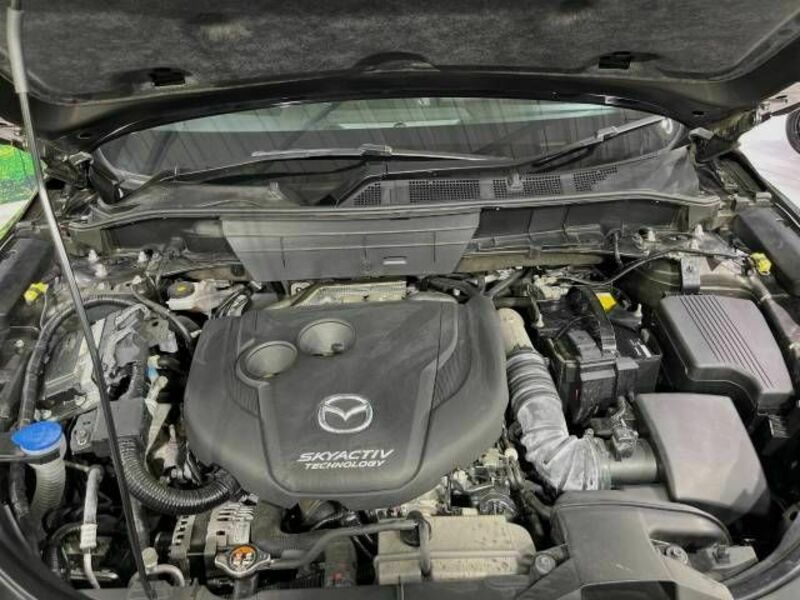 CX-8