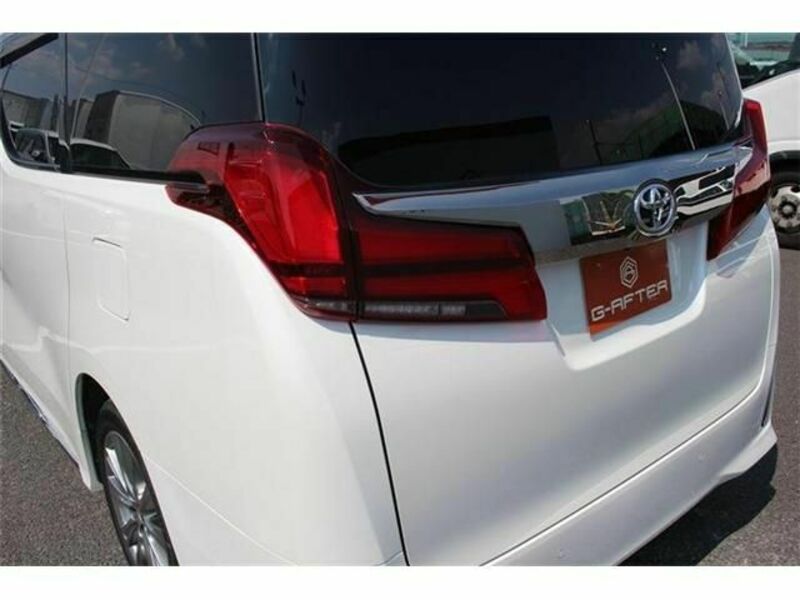 ALPHARD-11