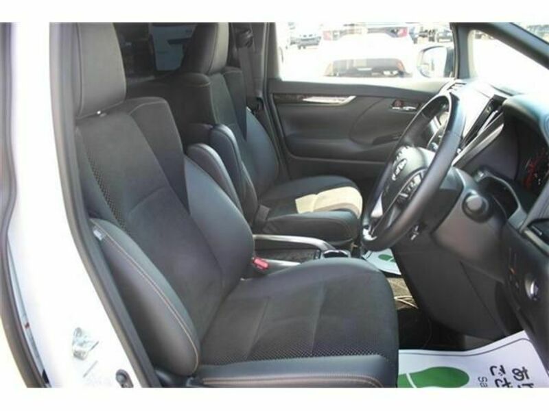ALPHARD-13