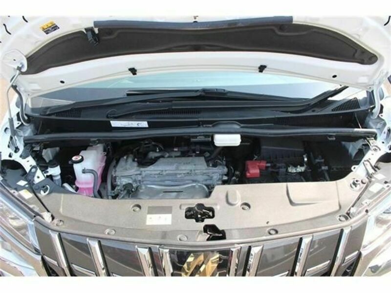 ALPHARD-18