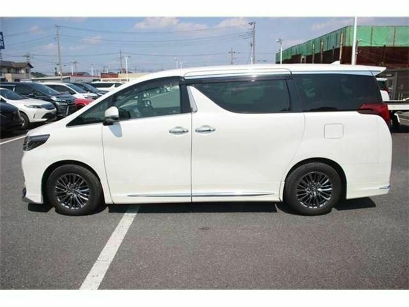 ALPHARD-6