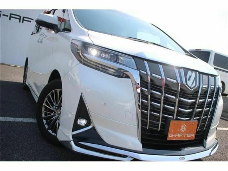 ALPHARD-10
