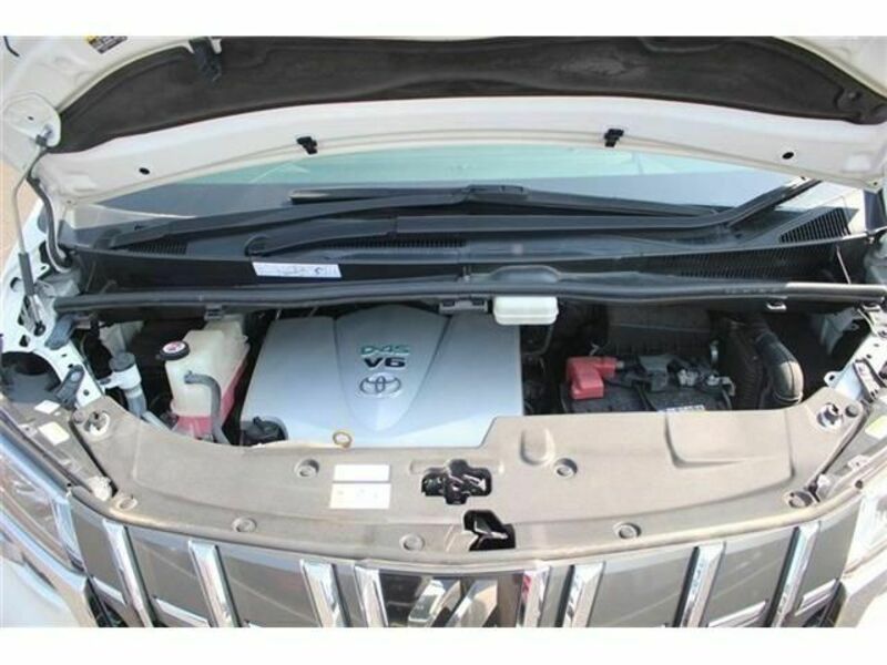ALPHARD-18