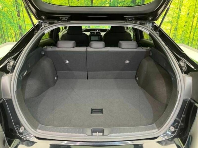 PRIUS-9