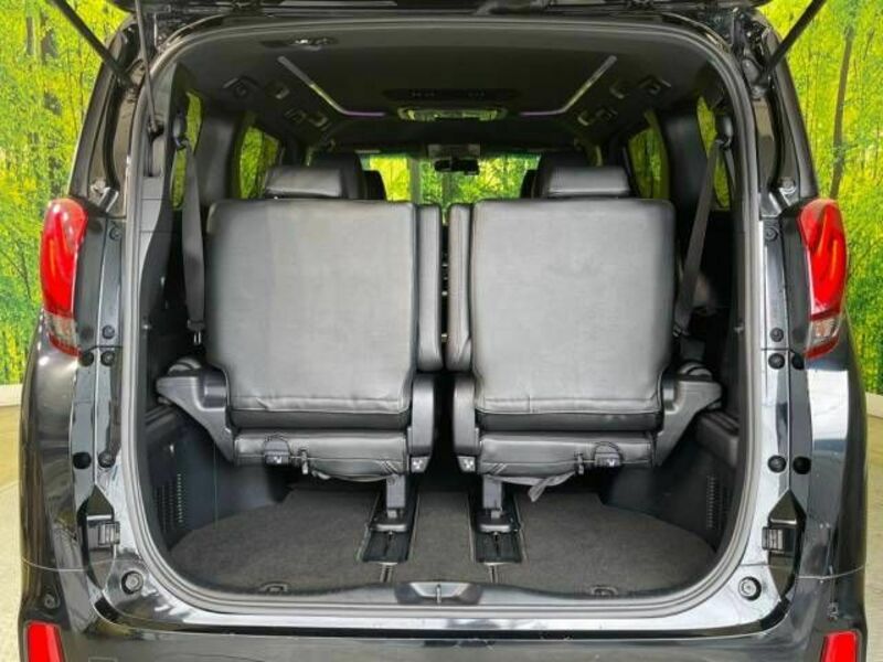 ALPHARD-11