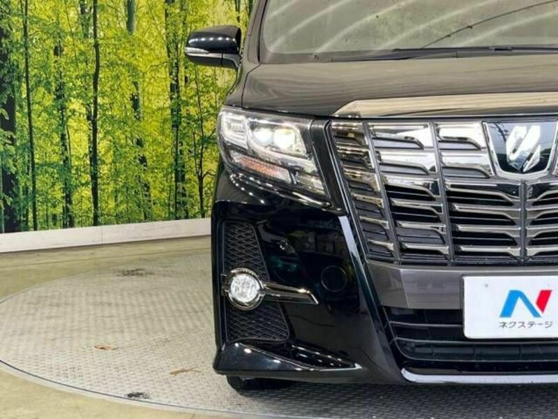ALPHARD-13