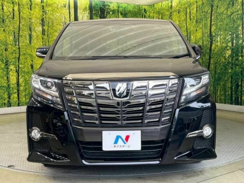 ALPHARD-15