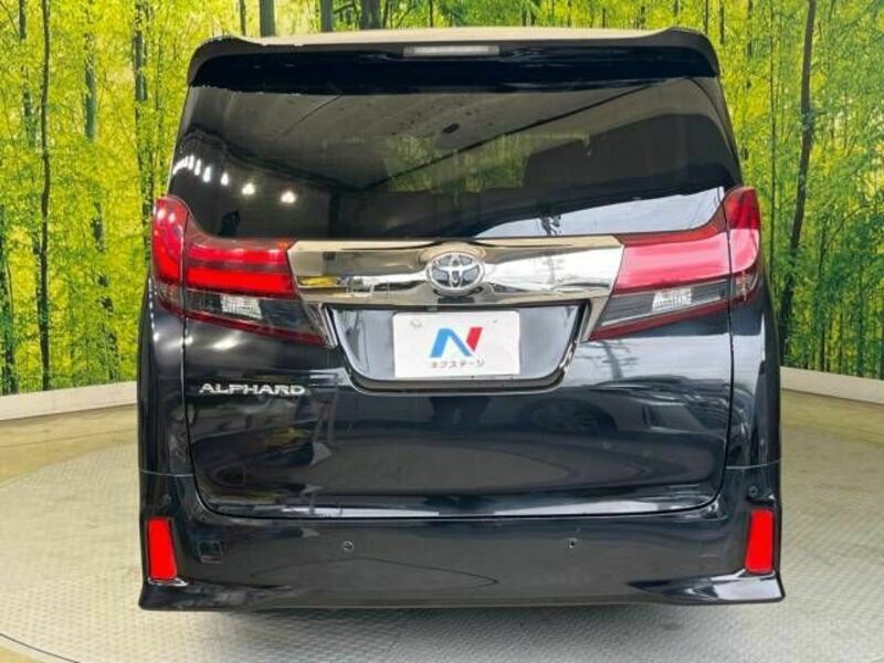 ALPHARD-16