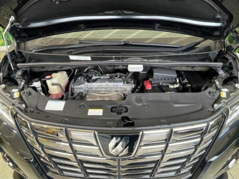 ALPHARD-18