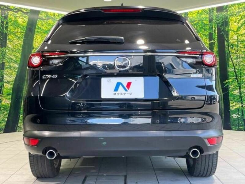 CX-8