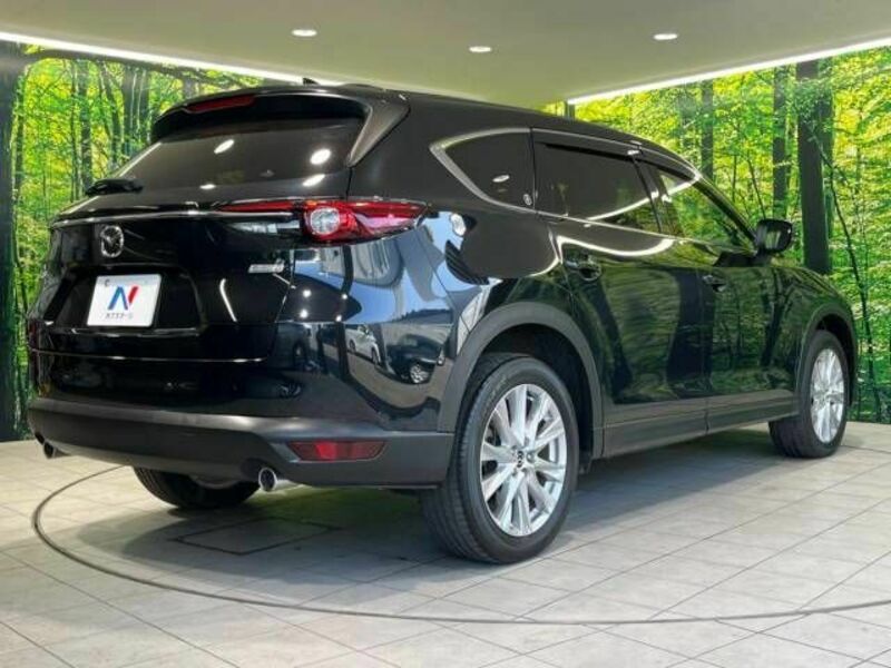 CX-8