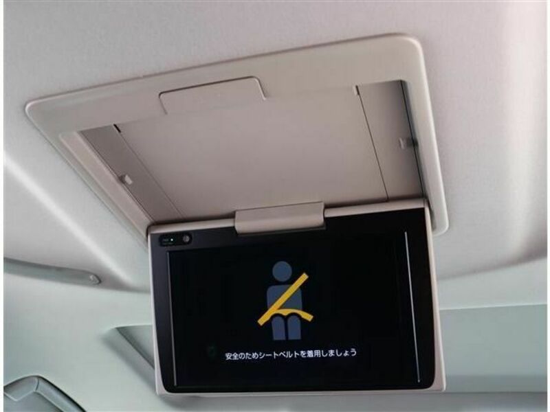 ALPHARD-6