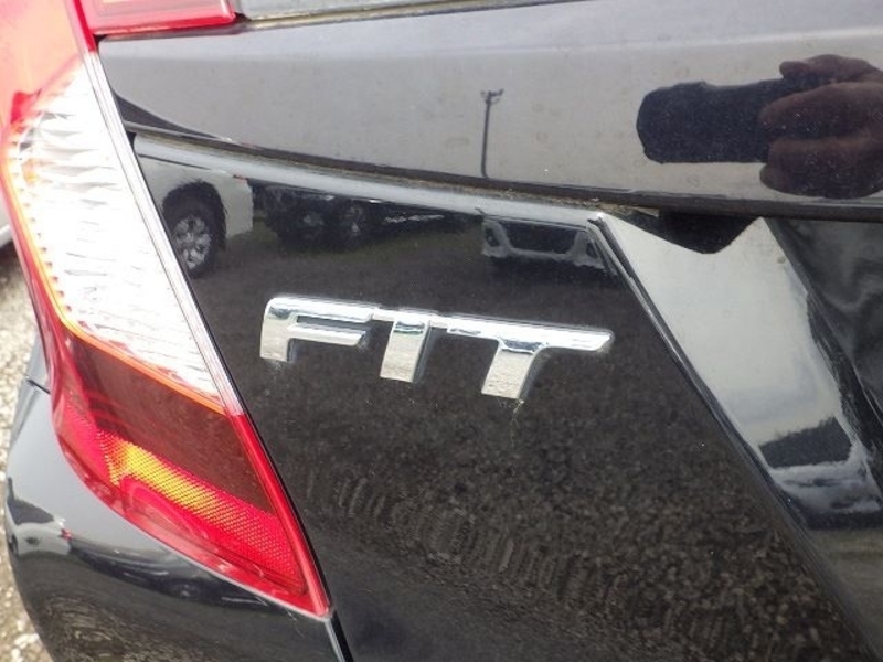 FIT-13