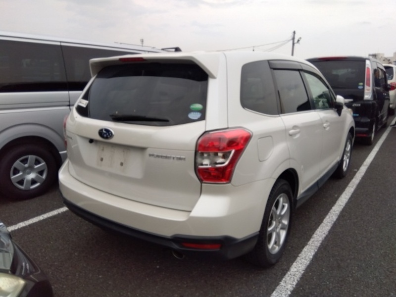 FORESTER-3