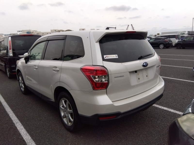 FORESTER-2