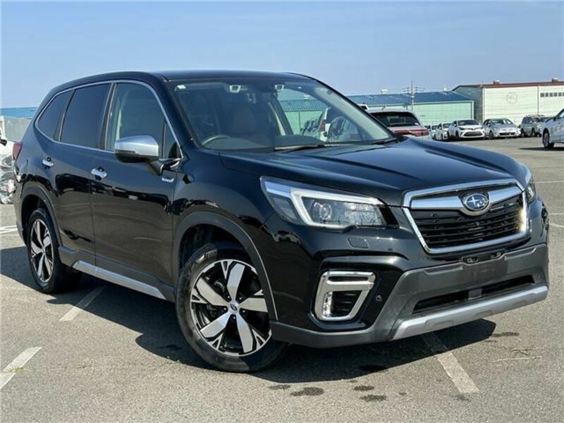 FORESTER