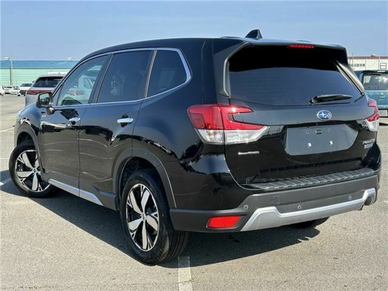 FORESTER