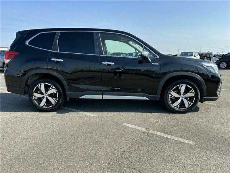 FORESTER