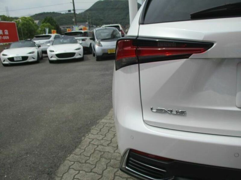 NX