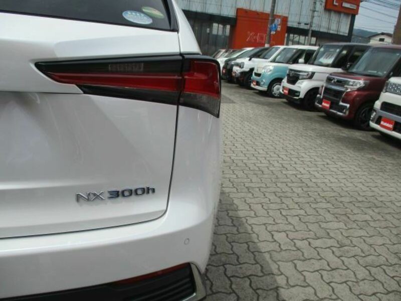 NX