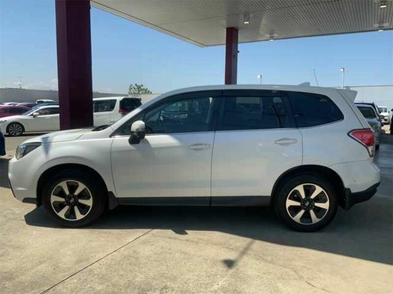 FORESTER