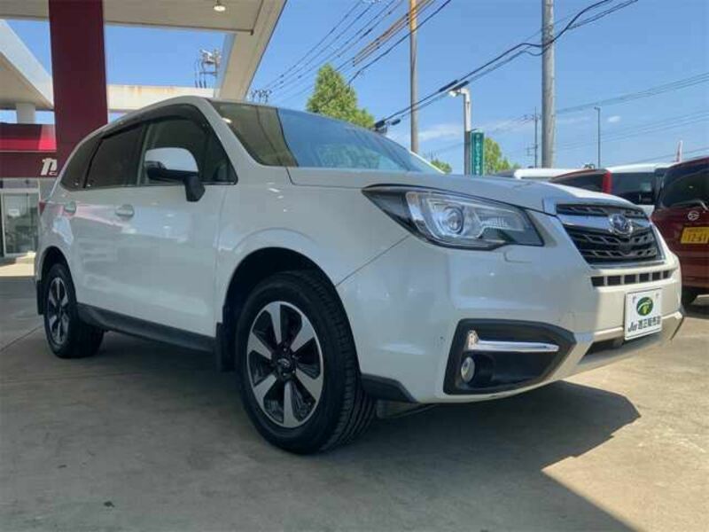 FORESTER