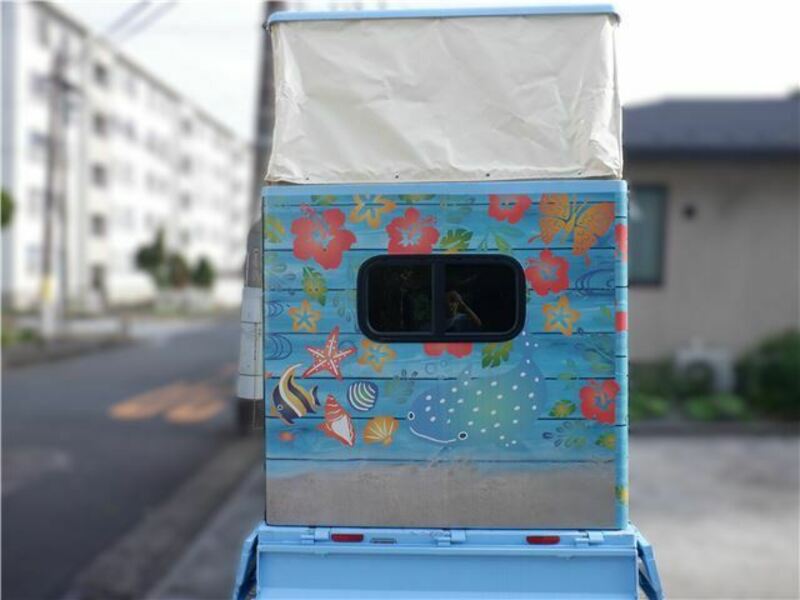 CARRY TRUCK-6