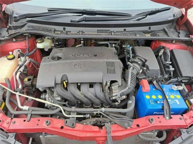 AURIS